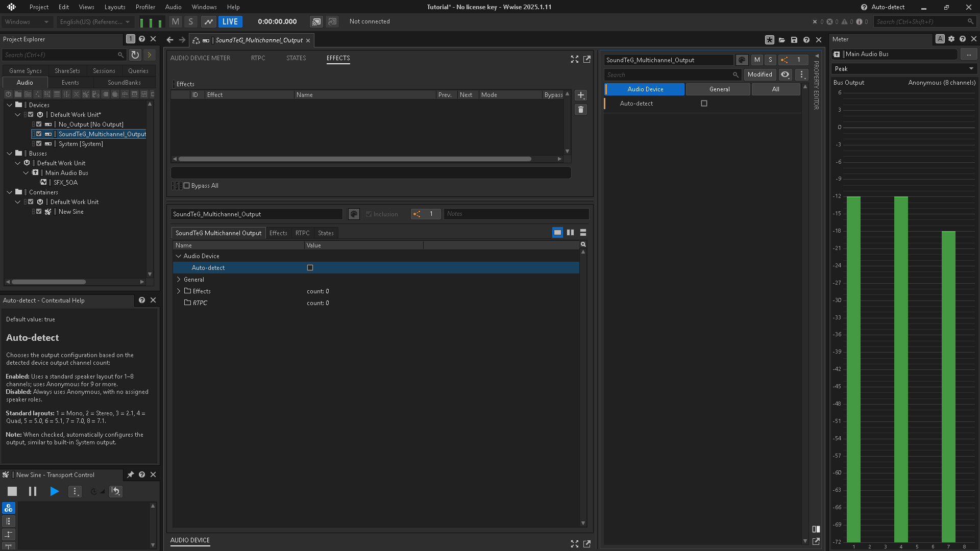 Auto-detect unchecked: the Meter view shows an Anonymous output configuration.
